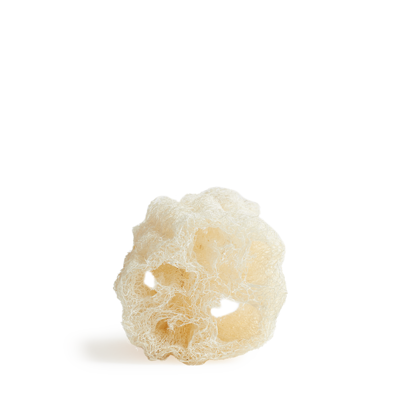 LUFFA Sponge